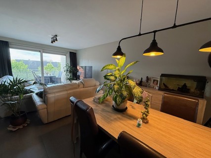 appartement-te-huur-in-mol