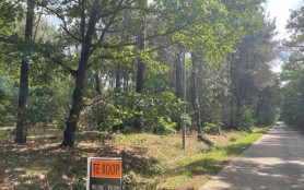 bos-te-koop-in-meerhout