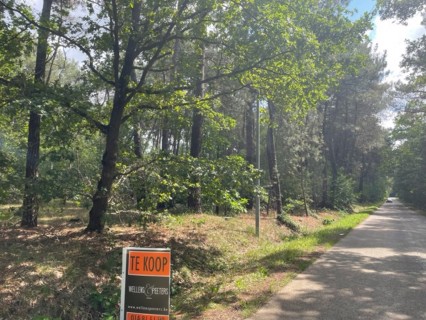 bos-te-koop-in-meerhout