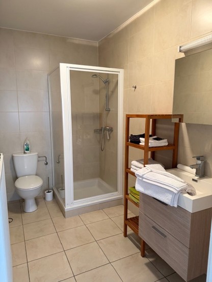 Dakappartement te huur in Herk-de-Stad