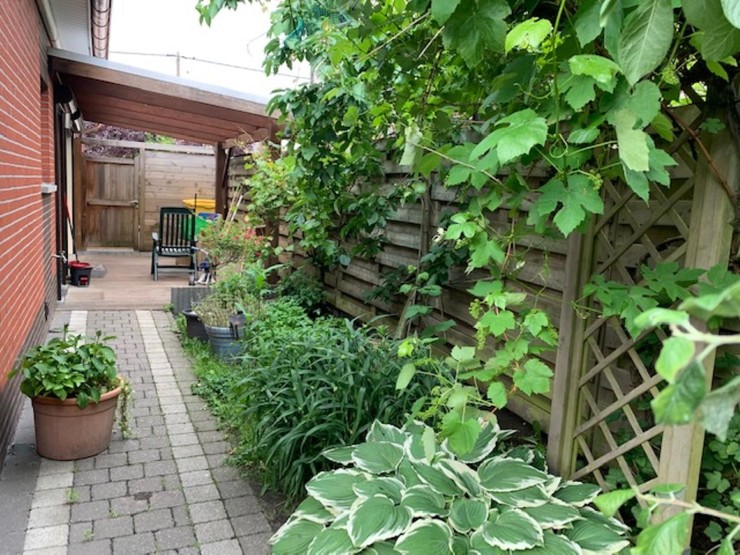 Huis te huur in Beerse