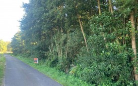 weide-te-koop-in-balen