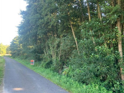 weide-te-koop-in-balen